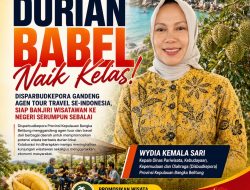 Durian Babel Naik Kelas! Disparbudkepora Gandeng Agen Tour Travel se-Indonesia, Siap Banjiri Wisatawan ke Negeri Serumpun Sebalai